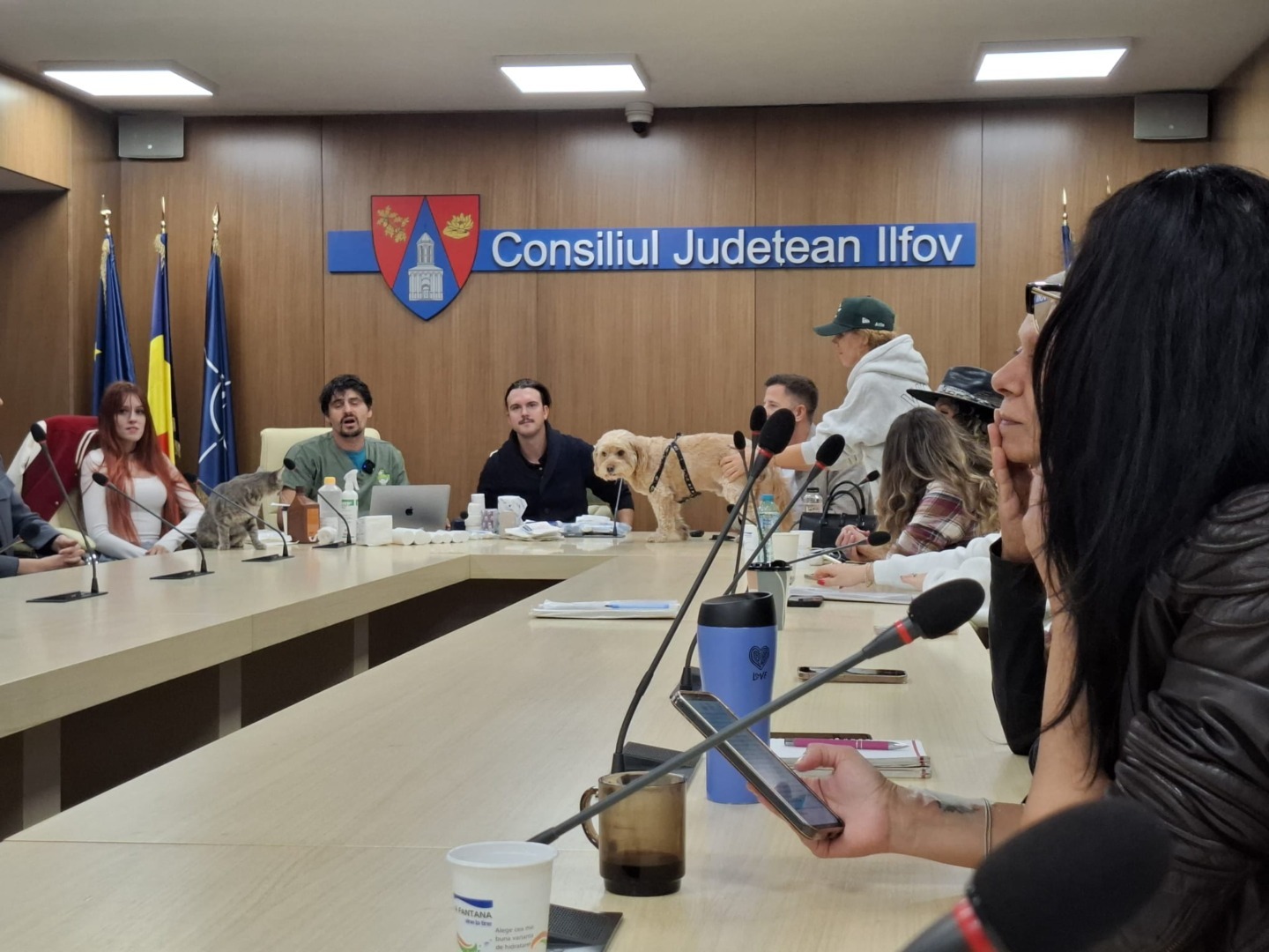 reprezentanți ai protectiei animalelor se afla in sala de sedinte, pe masa sunt o pisica si un caine