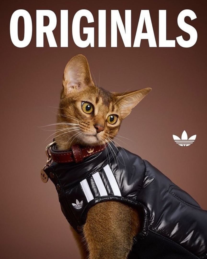 downloadgram.org_558969464_18533785351031201_1891679951498548078_n