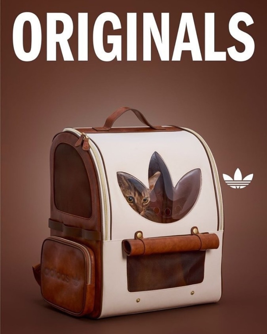 downloadgram.org_559069412_18533785342031201_5512395945099223946_n