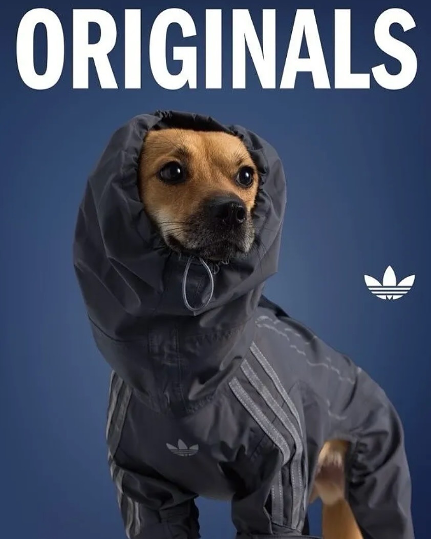 downloadgram.org_559178947_18533785321031201_364983251885336087_n