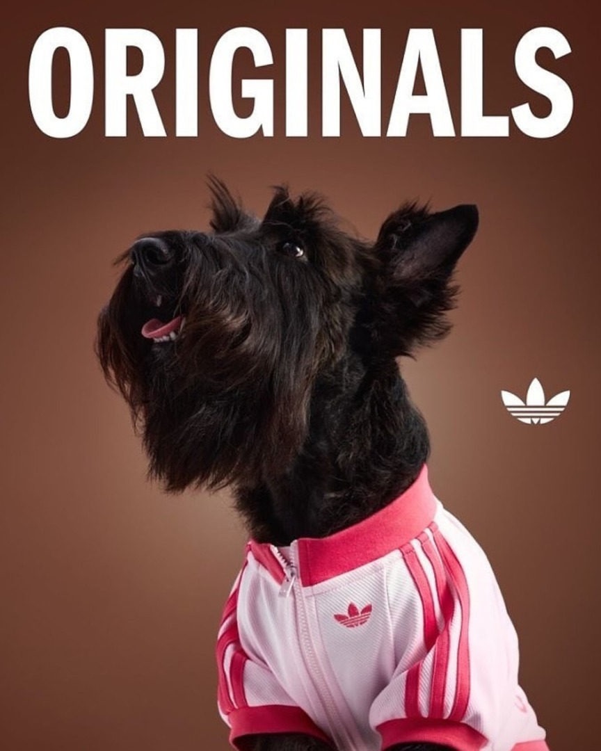 downloadgram.org_559434457_18533785315031201_2979182407175173460_n