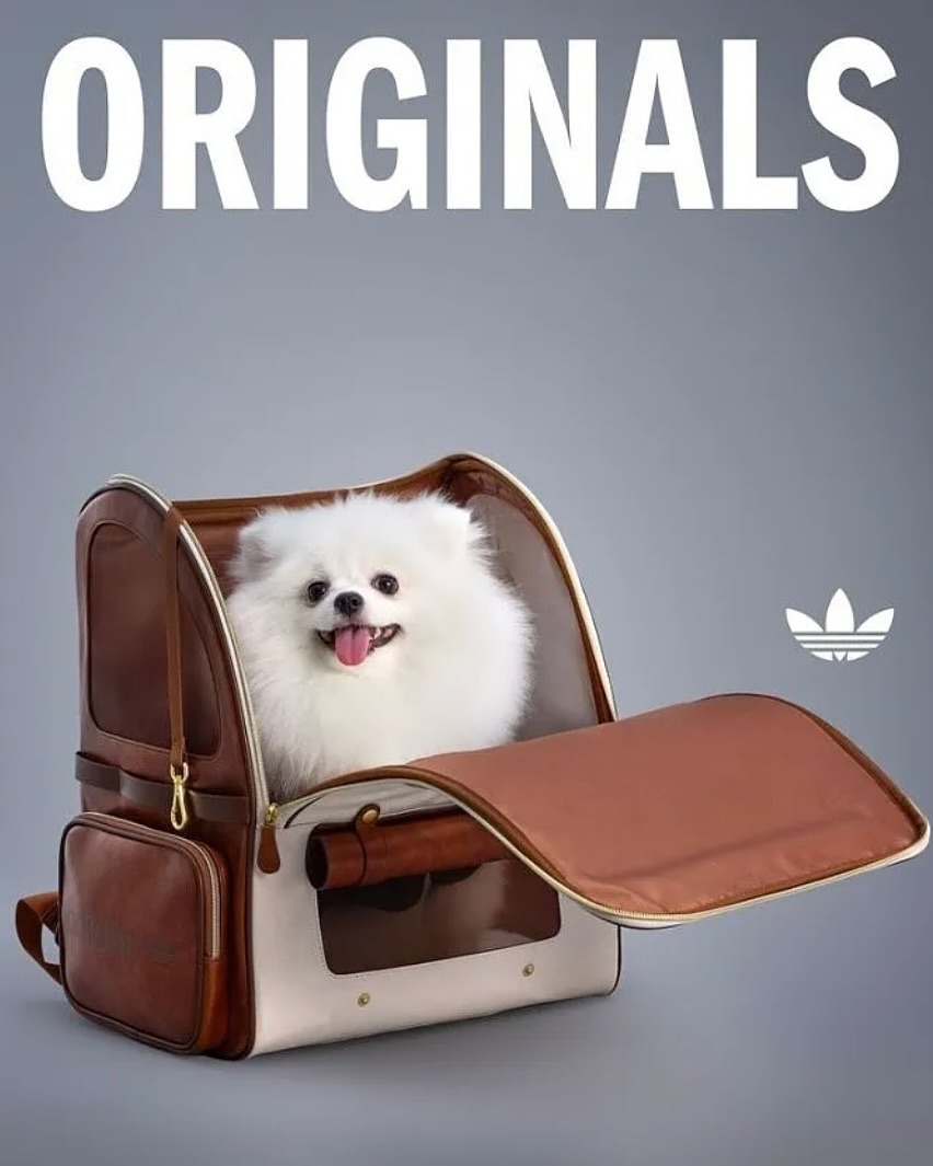 downloadgram.org_560037107_18533785333031201_3534823680804900086_n