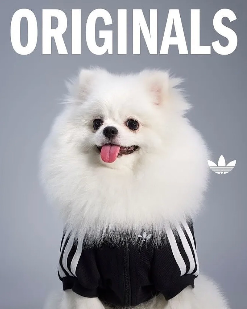 downloadgram.org_560491261_18533785324031201_6215493381497467141_n