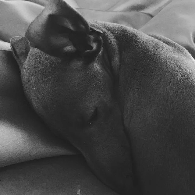 downloadgram.org_568009673_19265872507057818_8055361922581708169_n