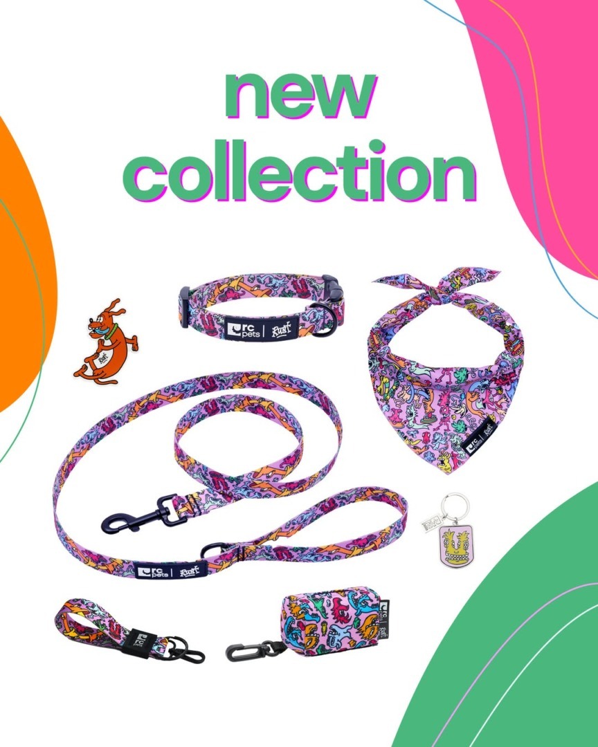 downloadgram.org_568105765_18537590104027866_3082837843189632974_n