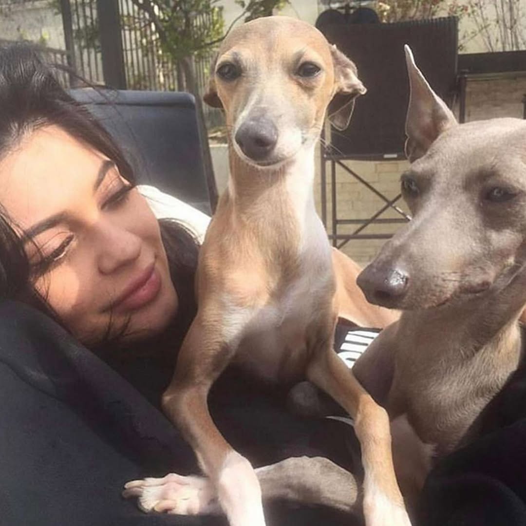 downloadgram.org_568319769_19265872522057818_269385384587865510_n