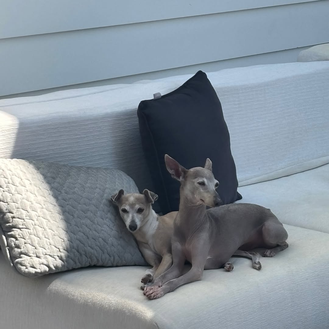 downloadgram.org_568612684_19265872591057818_7794829308076591485_n