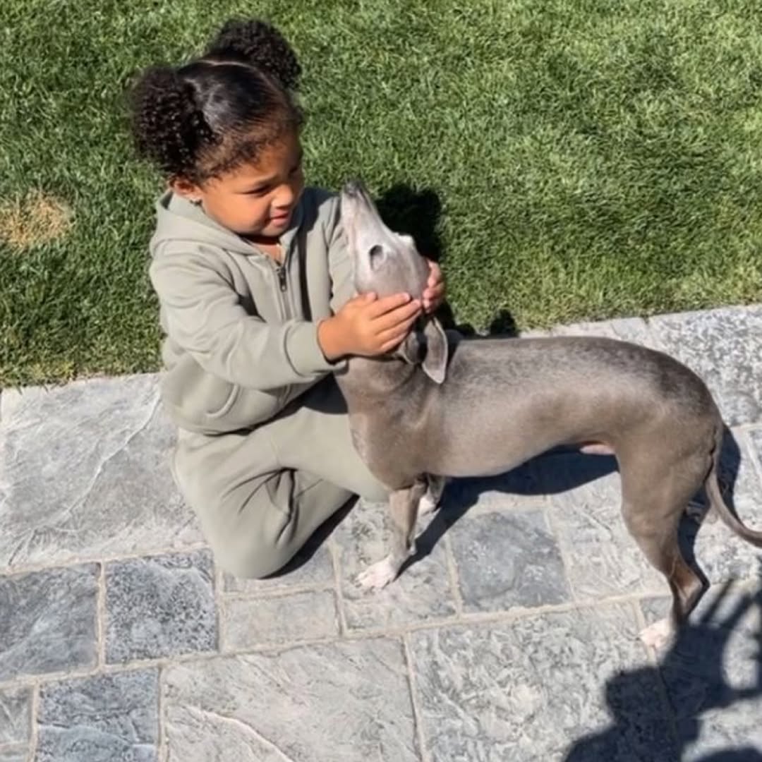 downloadgram.org_568725971_19265872600057818_3309925157296237040_n