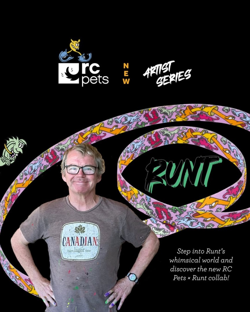 downloadgram.org_568753019_18537590128027866_8027116319870576457_n