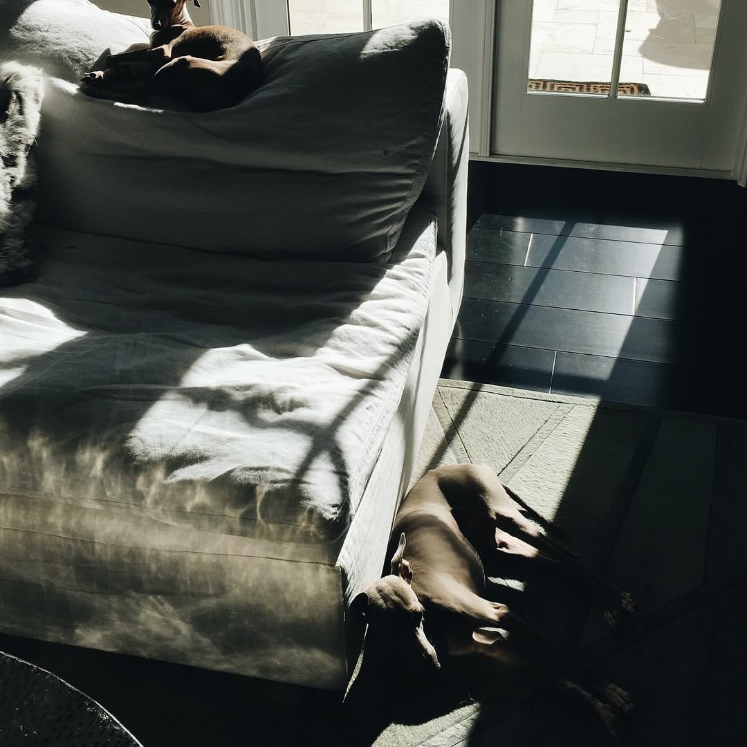 downloadgram.org_568847326_19265872540057818_8975514403733384555_n