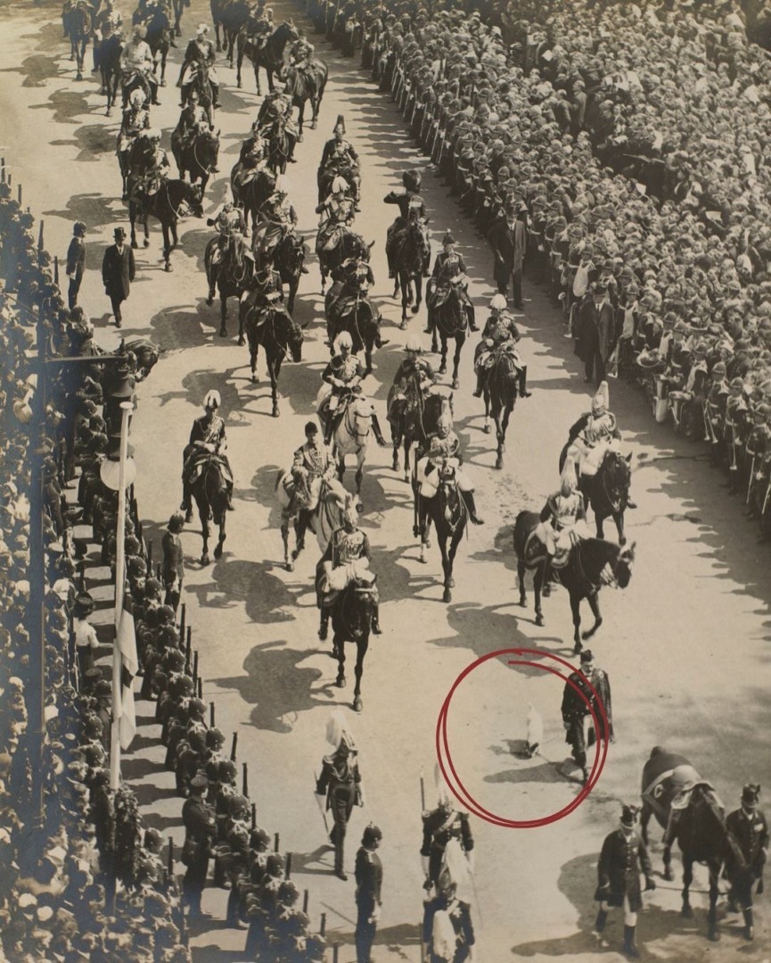 downloadgram.org_569103842_18430700875096493_8663132923171683688_n