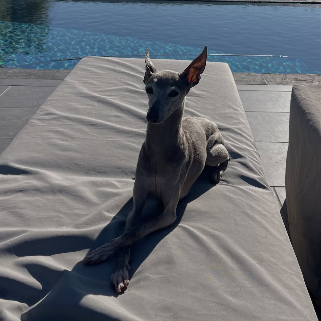 downloadgram.org_569498843_19265872582057818_6655456225471387238_n