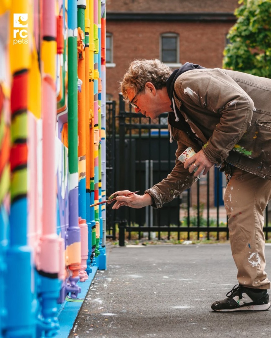 downloadgram.org_569579726_18537590113027866_3840085075647212401_n