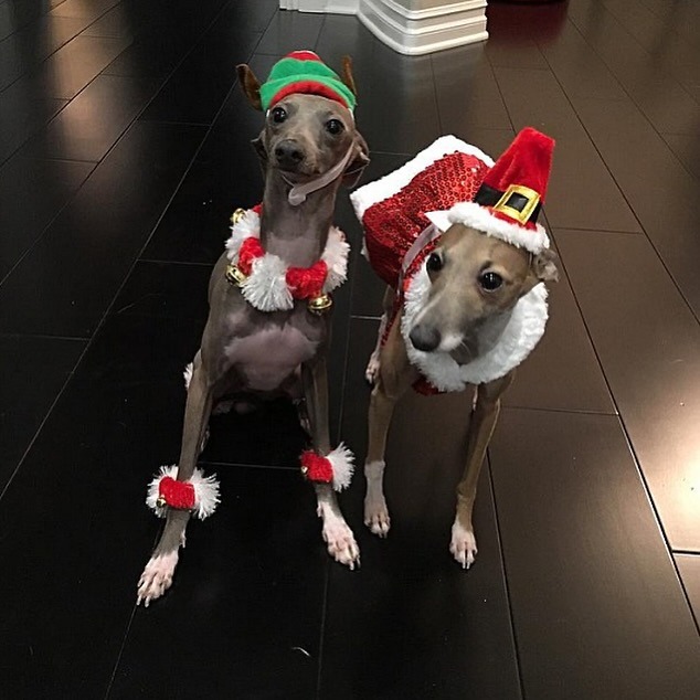 downloadgram.org_569933451_19265872570057818_8077893449260931790_n