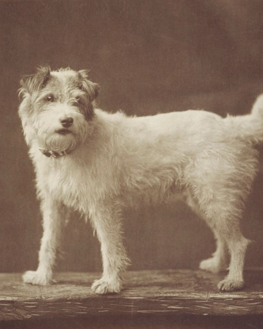 downloadgram.org_569959852_18430700857096493_7991886312787435573_n