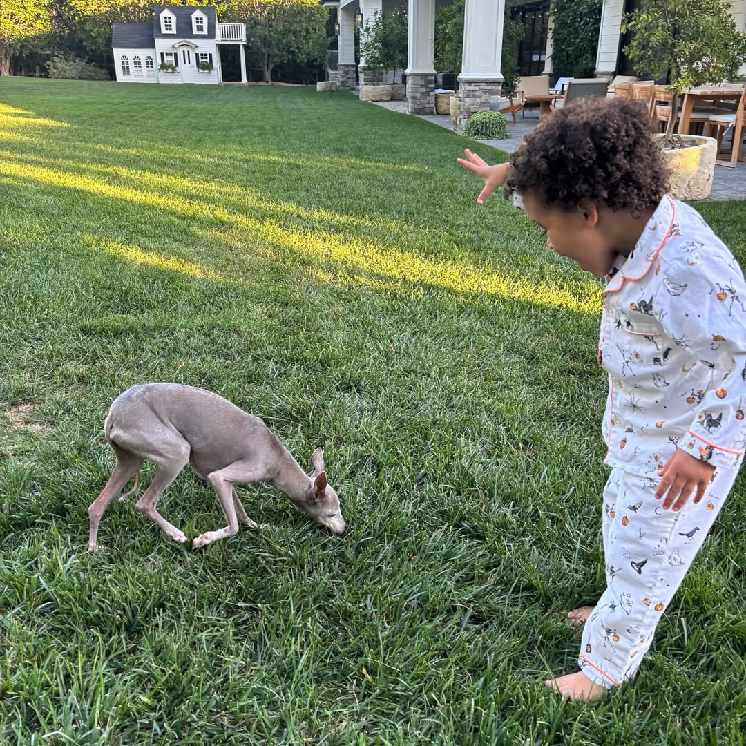 downloadgram.org_570019049_19265872609057818_8366800902493643370_n