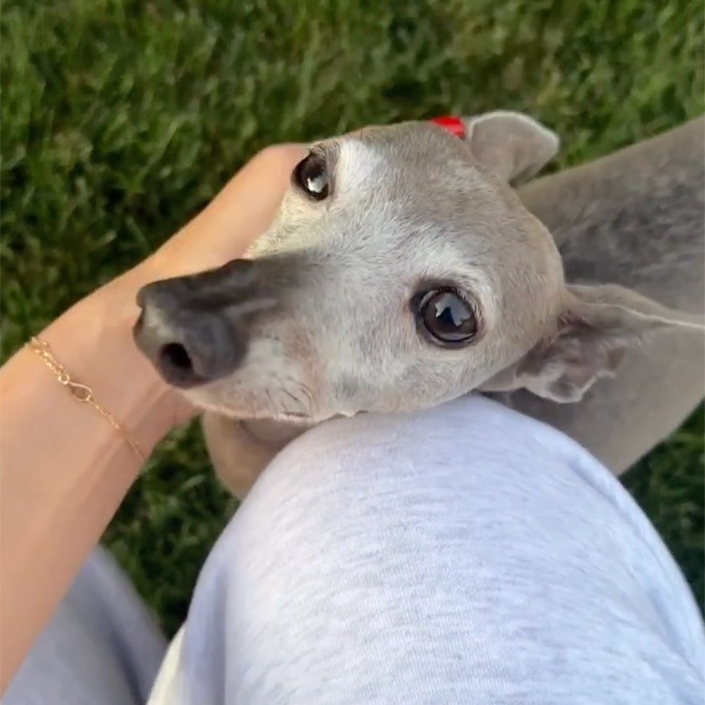 downloadgram.org_570167726_19265872552057818_4562514678883780306_n