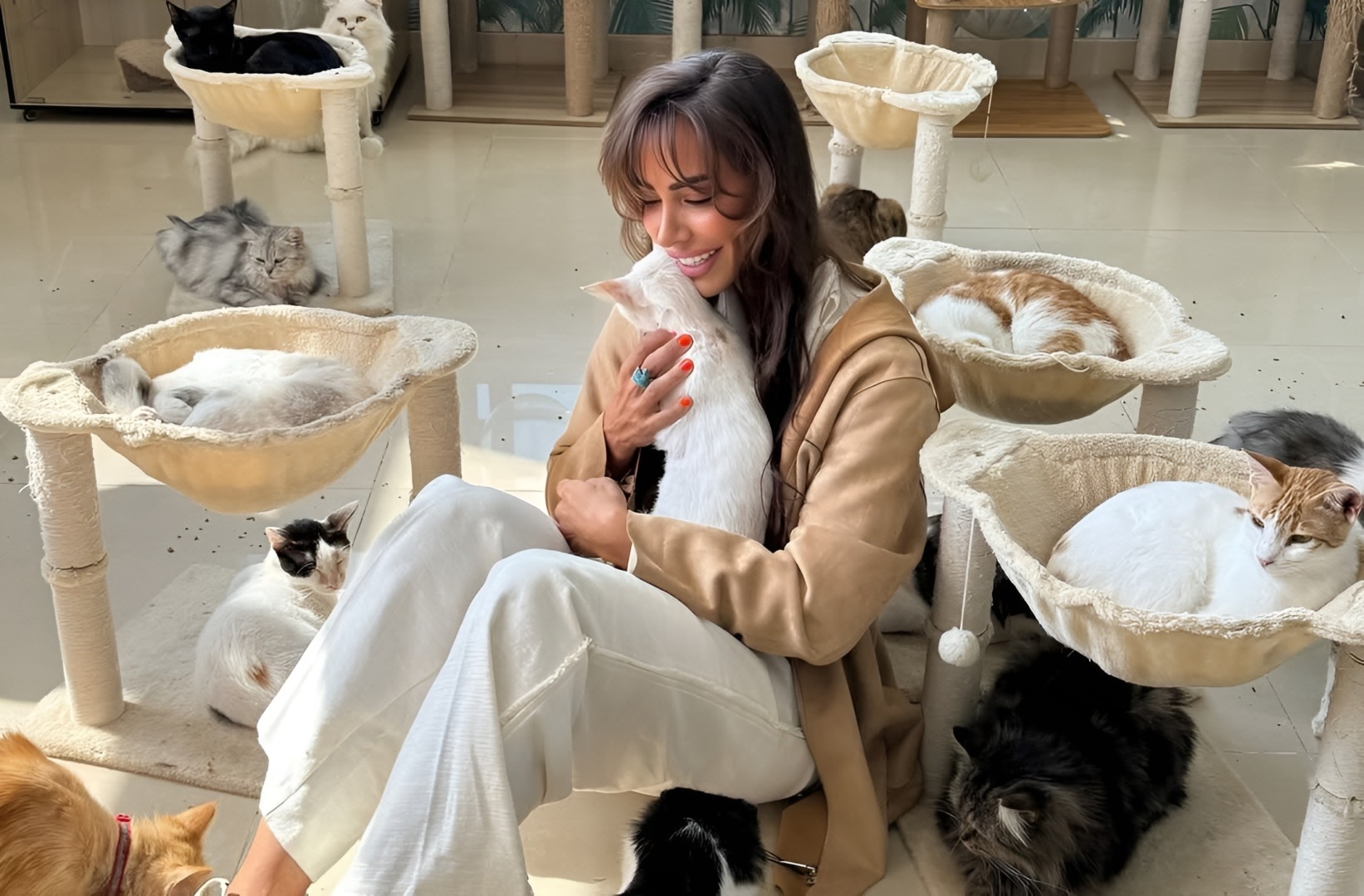 O tânără înconjurată de pisici