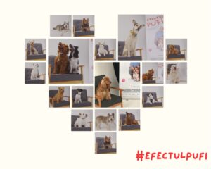 Poze cu căței selectați pentru campania de promovare a filmului Efectul Pufi