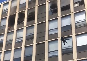 O pisică surprinsă într-un incendiu sare de la etajul 5