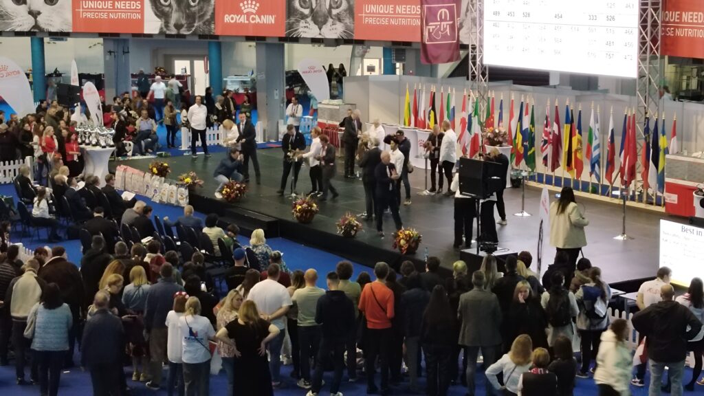 Imagine de la Campionatul Mondial Felin, Romexpo, București