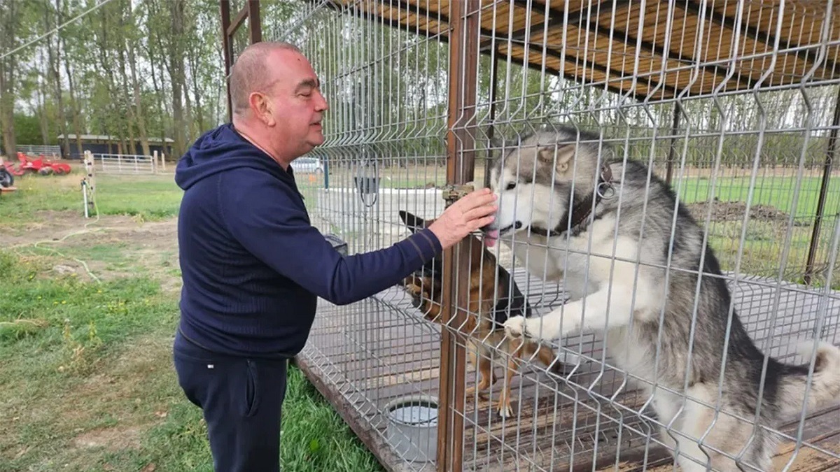 Gigi Netoiu la ferma sa de animale