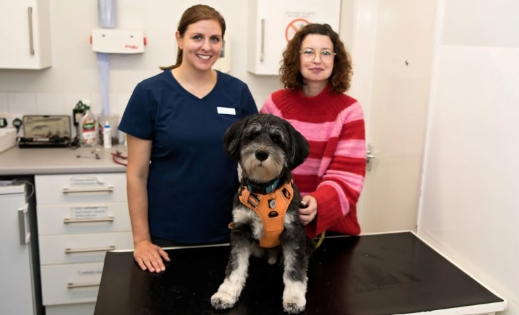 Câine la veterinar, alături de stăpâna lui