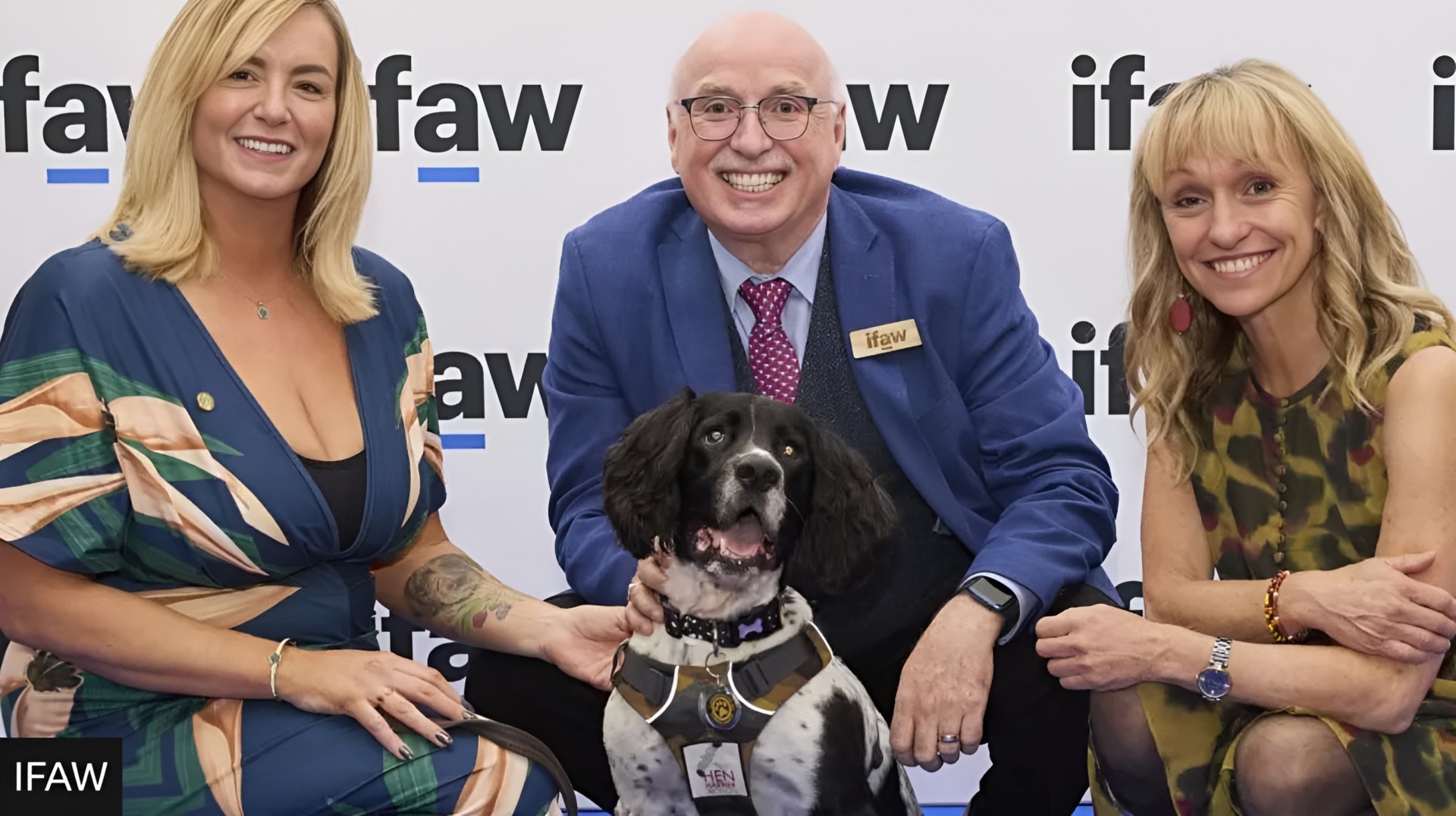 Henry, câinele care prinde braconieri, premiat