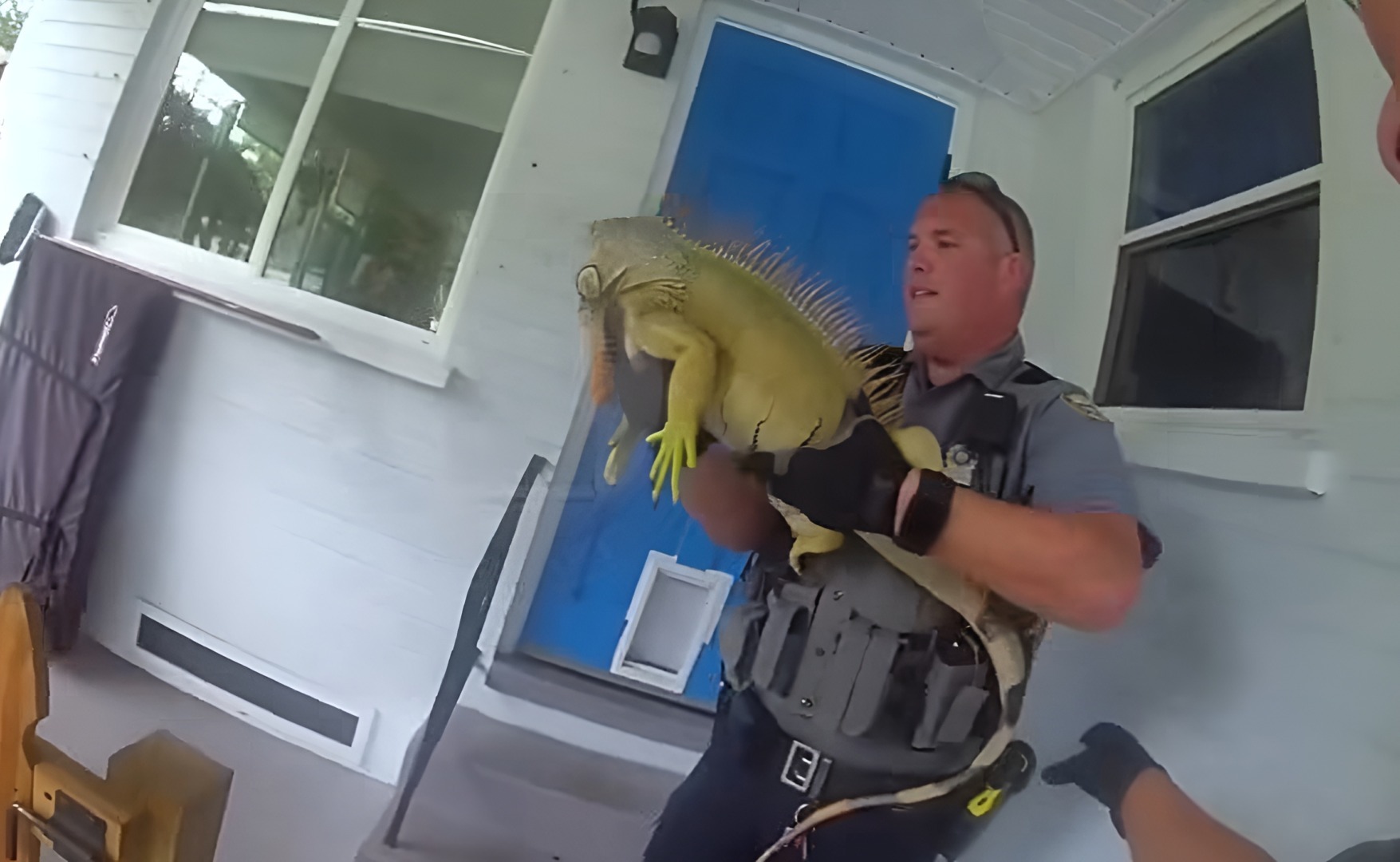 Iguană în brațele unui polițist din Florida