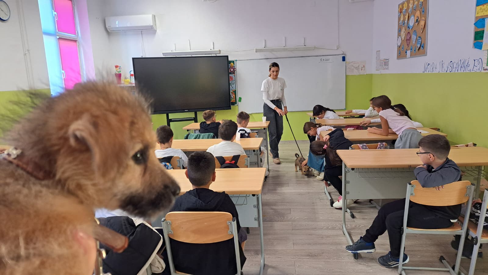 O sală de clasă în care se află elevi care învață despre animale