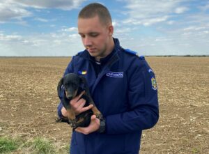 Un jandarm ține în brațe un pui de câine găsit pe câmp