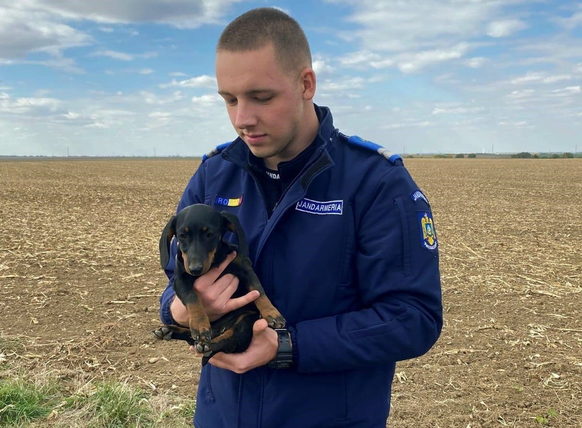 Un jandarm ține în brațe un pui de câine găsit pe câmp