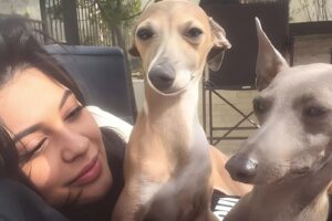 Kylie Jenner alături de doi câini