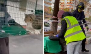 Motanski a fost recuperat din blocul explodat