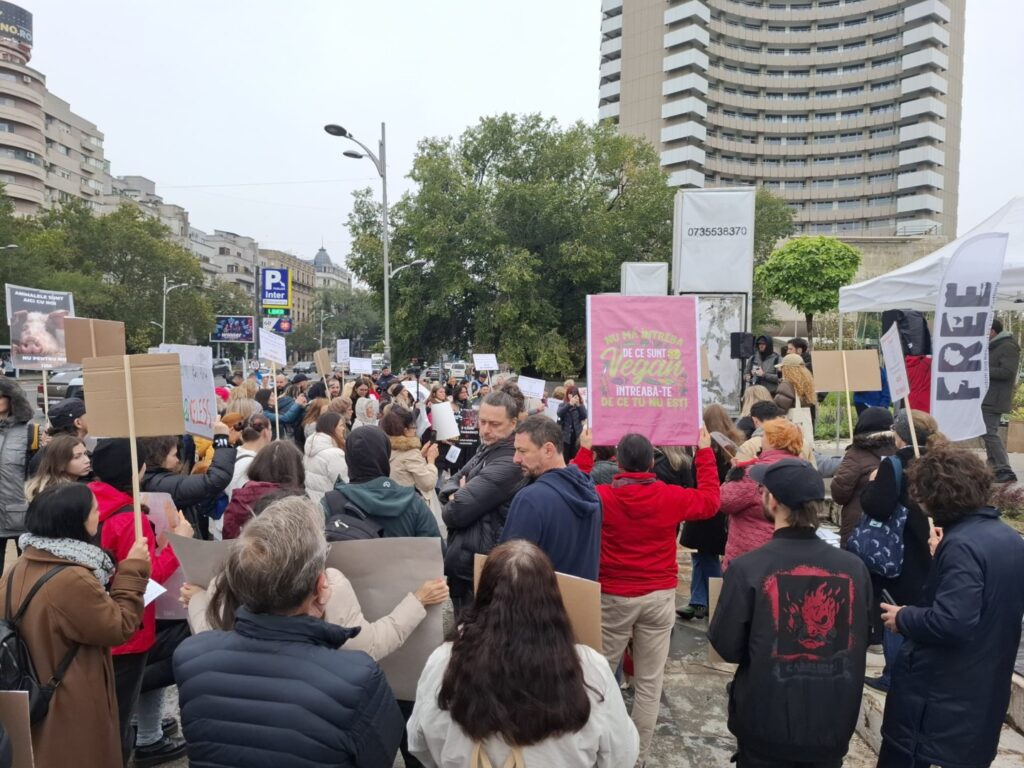 Oameni adunați la un protest
