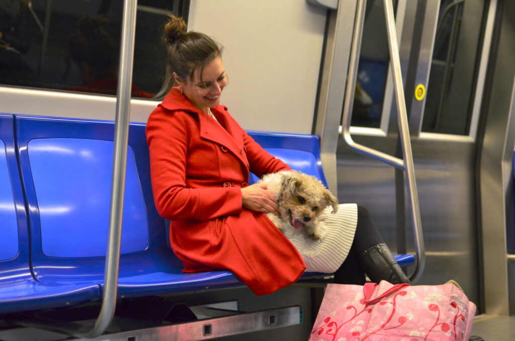 O femeie în metroul din București, alături de un câine pe care îl ține în poală