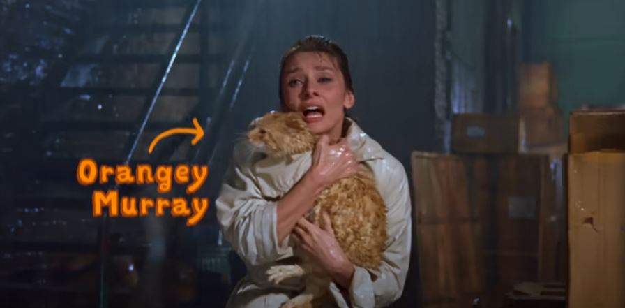 Pisica Orangey Murray în filme.