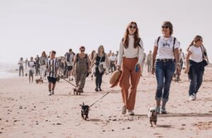 Oameni și câini la plimbare pe plajă