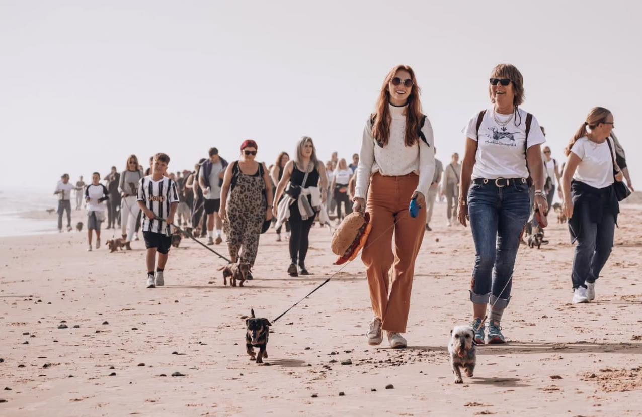 Oameni și câini la plimbare pe plajă