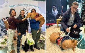 marian dragulescu la targul de adoptii