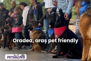 Câini aliniați lângă stăpâni