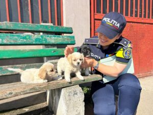 O polițistă mângăie trei pui de câine aflați pe o bancă