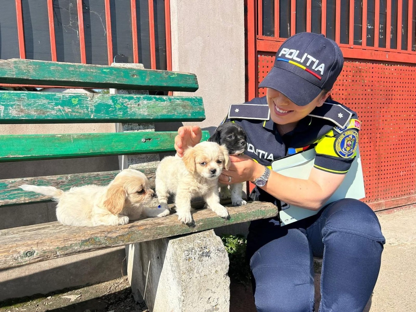 O polițistă mângăie trei pui de câine aflați pe o bancă
