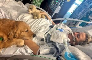 pacienta in coma si cainele de terapie