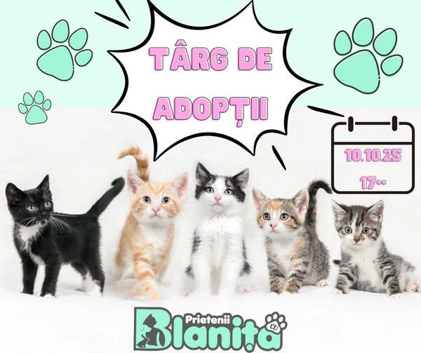 poster pentru târgul de adopții din Galați