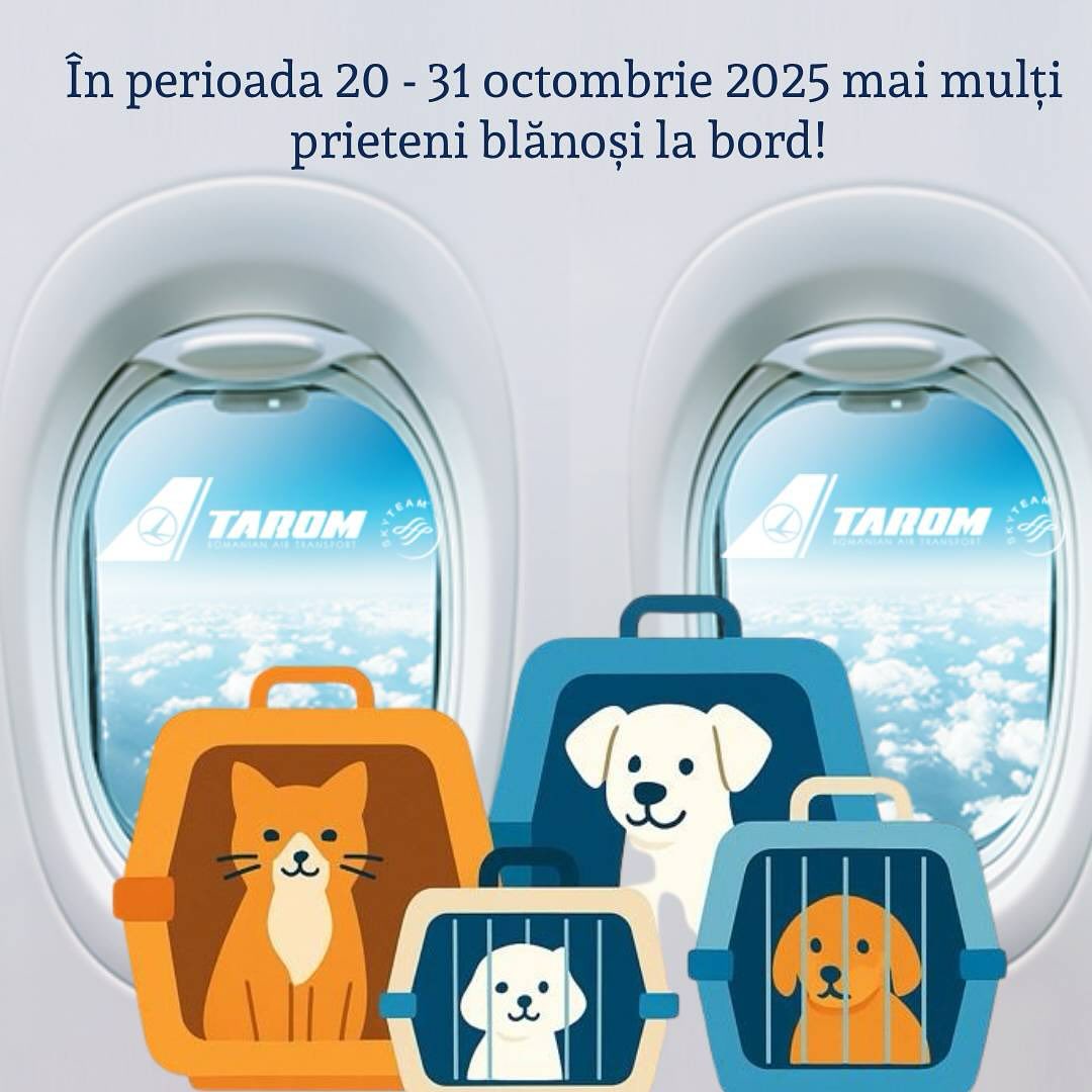 TAROM accepta mai multe animale de companie în cabina de pasageri