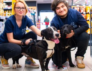 Voluntari ASPA alături de un câine