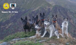 Unitatea Canina Salvamont Suceava