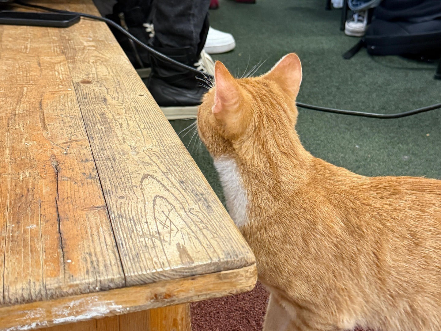 574029155_17880676017409875_2732206462047391605_n