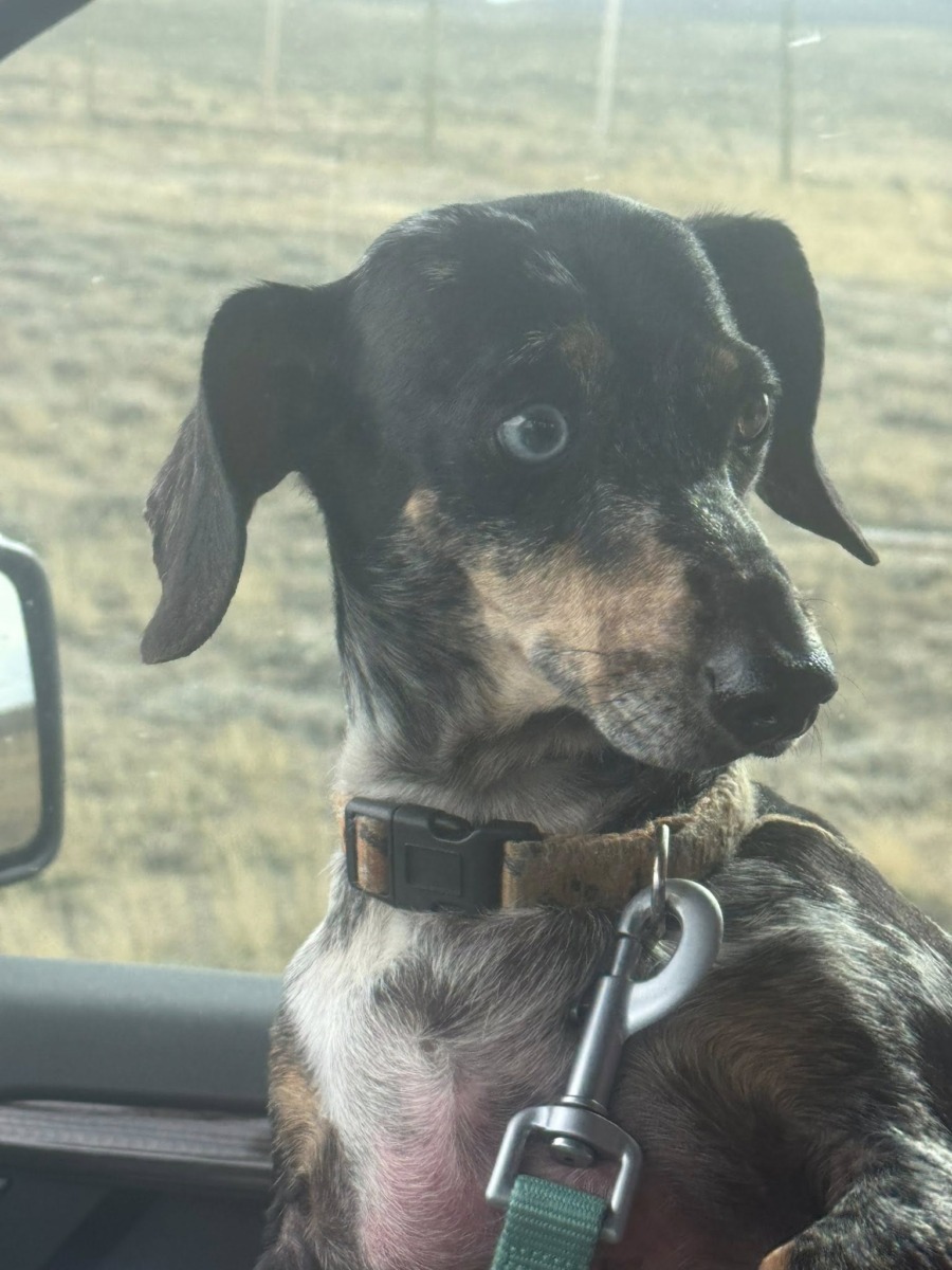 574378554_10163026950858557_5107649237525783948_n